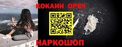 винт Партизанск